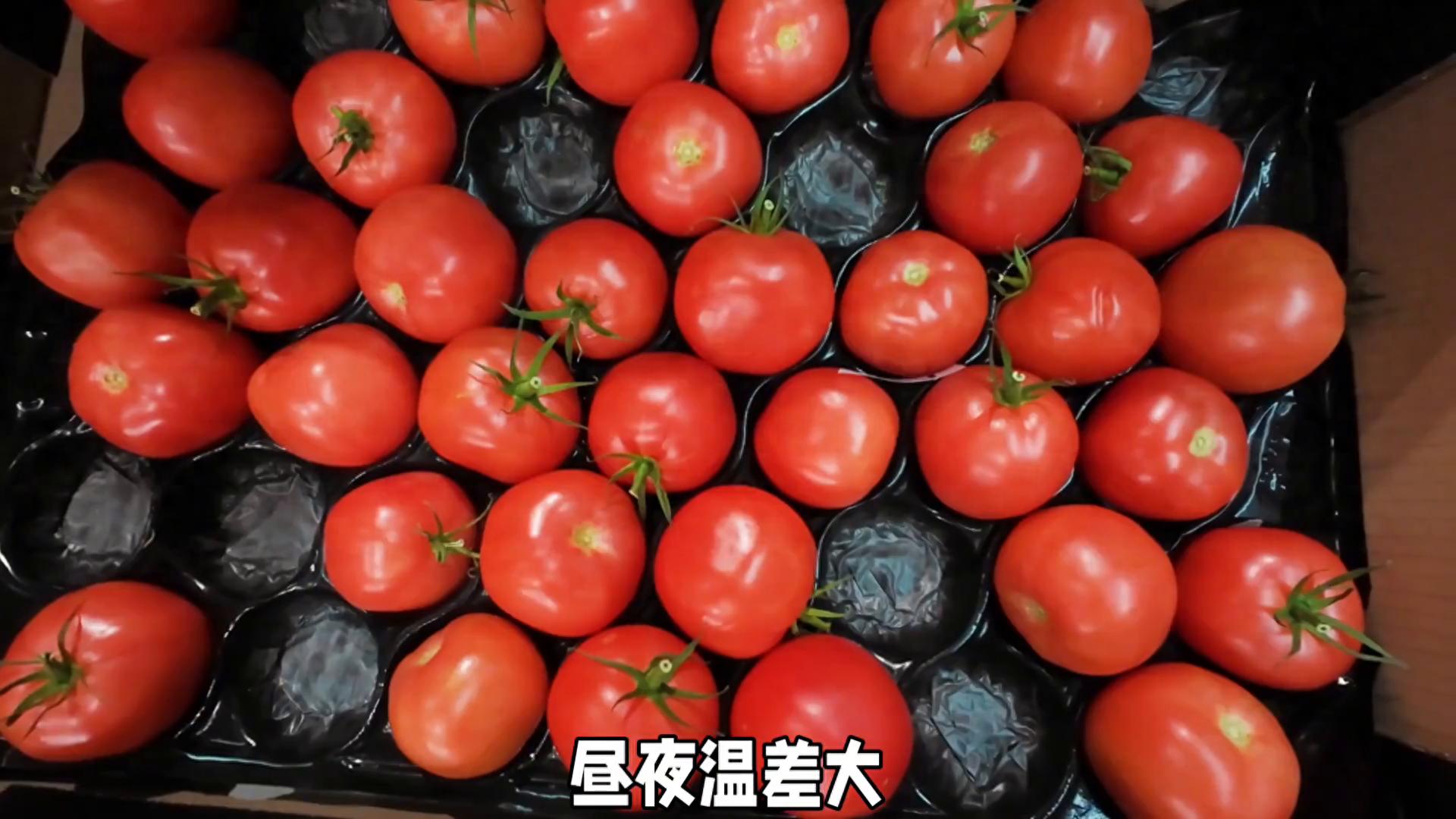 新疆番茄汁：阳光味道的清新解腻饮