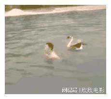 娱乐圈门事件照片_陈冠希杨颖早年合照 艳照门事件影响 杨颖陈冠希关系